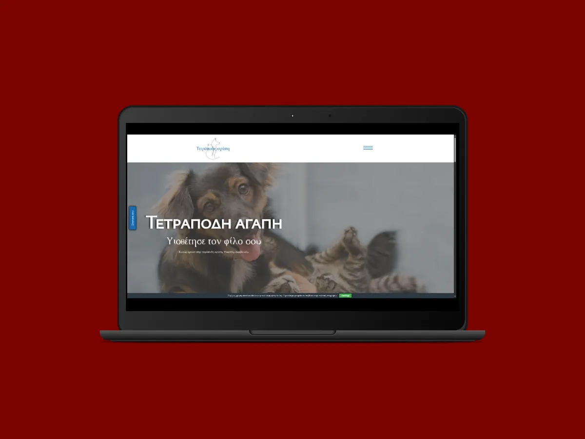 Tetrapodi